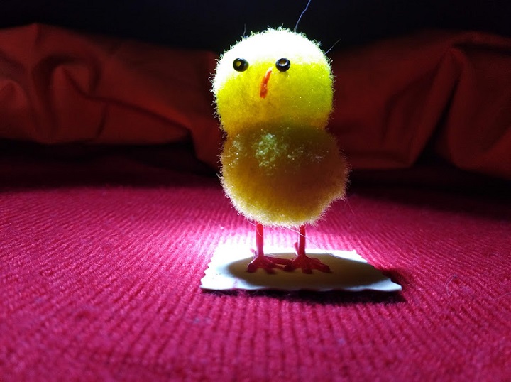 Iluminacion pollito